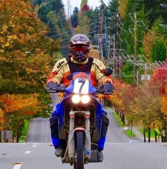 Meet your Posher, Robert - Picture 1 of 1